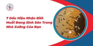 7 Dau Hieu Nhan Biet Muoi Dang Sinh San Trong Nha Xuong Cua Ban 970x477 1