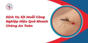 Dich Vu Xit Muoi Cong Nghiep Hieu Qua Nhanh Chong An Toan 970x477 1