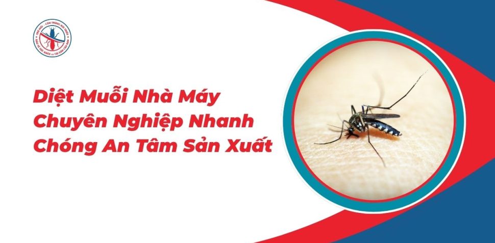 Diet Muoi Nha May Chuyen Nghiep Nhanh Chong An Tam San Xuat 970x477 1