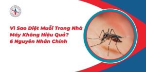 Vi Sao Diet Muoi Trong Nha May Khong Hieu Qua 6 Nguyen Nhan Chinh 970x477 1