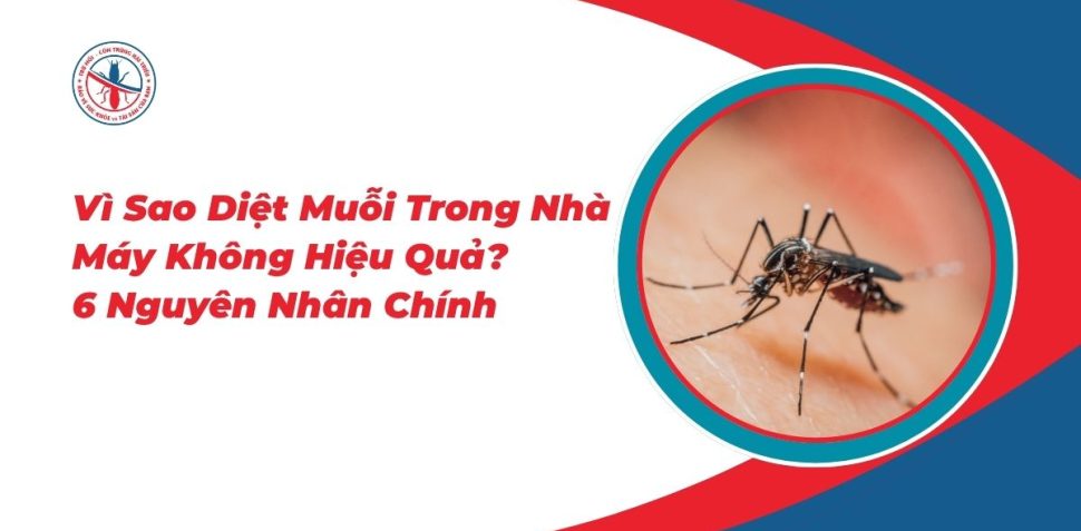 Vi Sao Diet Muoi Trong Nha May Khong Hieu Qua 6 Nguyen Nhan Chinh 970x477 1